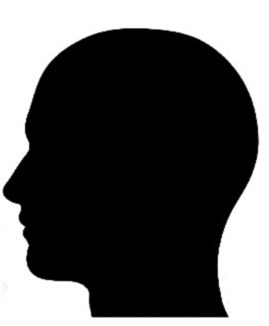 silhouette of head