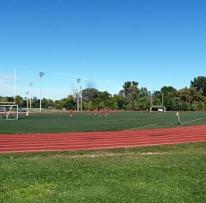 a track through a green field