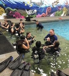 students sitting poolside
